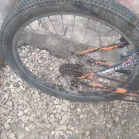 یک عدد درچرخه veva 24|دوچرخه، اسکیت، اسکوتر|بهار, |دیوار