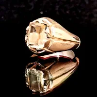 انگشتر نقره دست ساز|جواهرات|پرند, فاز ۴|دیوار