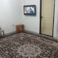 اجاره آپارتمان۶۵مترهمکف در پاکدشت (مامازند)|اجارهٔ آپارتمان|پاکدشت, پاکدشت (مامازند)|دیوار