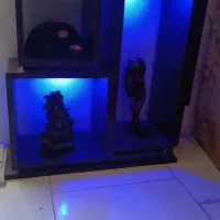 جاشمعی وکشتی وماه