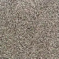 شاه دانه|خوردنی و آشامیدنی|فرخ‌شهر, |دیوار