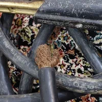 کابل جوش زخیم