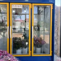 یخچال ویترینی 3در