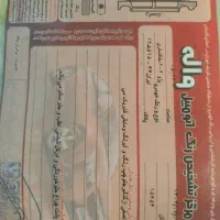 206|خودرو سواری و وانت|گنبد کاووس, |دیوار