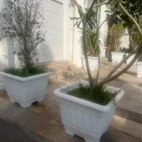 کاردر فست فود