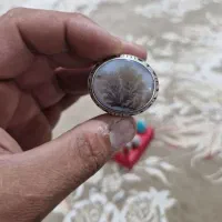 انگشتر شجر|جواهرات|تهران, خلیج فارس|دیوار