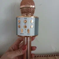 اسپیکربلوتوثی فلشخوررم خور