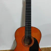 گیتار آریا پیکاپ دار