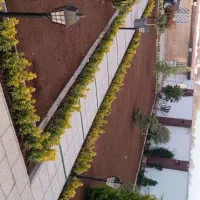 خدمات باغبانی باغچه کاری گل کاری تعویضی خاک گلدان|خدمات باغبانی و درختکاری|تهران, سهروردی|دیوار