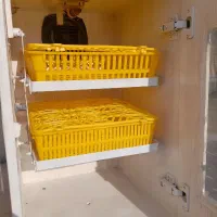 دستگاه تمام اتومات جوجه کشی ۸۰ تایی|حیوانات مزرعه|شیراز, رکن‌آباد|دیوار