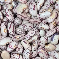 حبوبات درفروشگاه عبادی ارزانتر شد،چیتی۲۸۵۰۰۰ تومان|خوردنی و آشامیدنی|تبریز, |دیوار