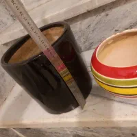 گلدان سفالی،فایبرگلاس،سرامیکی،پلاستیکی|گل و گیاه طبیعی|قدس, شهرقدس|دیوار