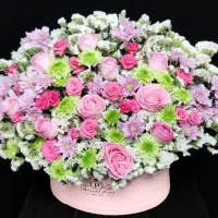 باکس گل رز مینیاتوری|گل و گیاه طبیعی|شیراز, بعثت|دیوار