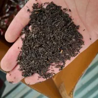 چای هندی وارداتی آکو|خوردنی و آشامیدنی|کرمانشاه, |دیوار