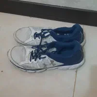 کفش اسپرت|کیف، کفش، کمربند|صدرا-فارس, فاز ۱|دیوار