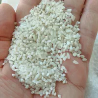 برنج نیم دانه هاشمی سورتینگ شده کیلویی ۱۶۰