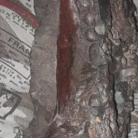 مشکوک به شهاب
