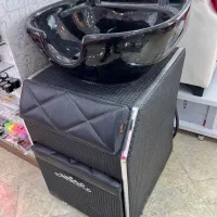 سرشور ایستاده