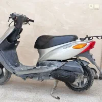 کشار دوستنی
