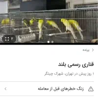 قناری کشیده بلند شاخص لطفا متن را بخونید|فعالیت داوطلبانه|تهران, آبشار تهران (دریاچه)|دیوار