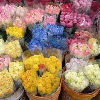 گل عمده (شاخه ای)|گل و گیاه طبیعی|ری, بازار گل خاوران|دیوار