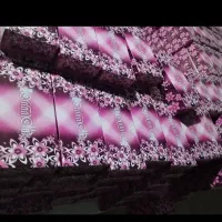 دستمال کاغذی و دستمال دو قولو اقتصادی