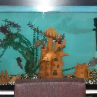 آکواریوم ۱۰ میل عالی