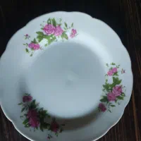 9عددبشقاب گل قرمز قدیمی دانه ای 400