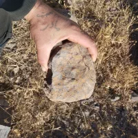 سنگ عتیقه|کلکسیون اشیاء عتیقه|ابهر, |دیوار