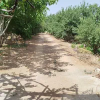 فروش زمین ۱۰۰۰ متری محدود پل زمانخان