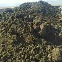 فروش ویژه کود خشک مستقیم از گاوداری|خدمات باغبانی و درختکاری|اصفهان, بهارستان|دیوار