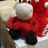 عروسک های زیبا|اسباب‌‌بازی|آمل, |دیوار