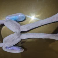 گوش گیر پمپی صدادار