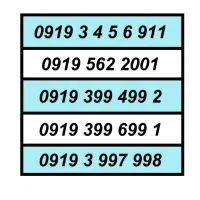 0919.5233933
