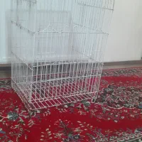 قفس پرنده