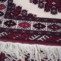 نو وسالم بدون کوچیک ترین ایراد