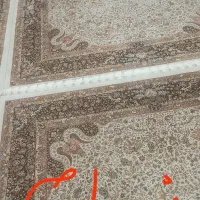 فرش پاتریس|فرش|مریوان, |دیوار