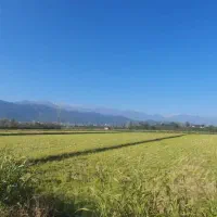 فروش-زمین-6560-متری