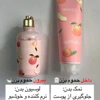 مجله(ست هلو)