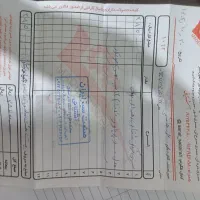 سبزی خورد کن صنعتی سبزیران دهنه ۶۰ موتور ۲ اسب|فروشگاه و مغازه|گلستان (تهران), |دیوار