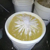 سفیده تخم مرغ عمده