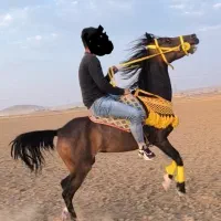 پریوش سراقی