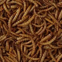 سلام، میلورم زنده ومیلورم خشک|لوازم جانبی حیوانات|میانه, |دیوار