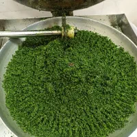 سبزی مارکت تربچه