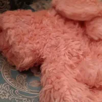 پالتو کلاه و کیف پشمی بسیار شیک و بامزه  نو|کفش و لباس بچه|مرودشت, فیروزی|دیوار