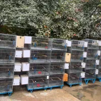 قفسه جفت خان تعداد 8جفت هر جفت 4 عدد|لوازم جانبی حیوانات|تهران, درکه|دیوار