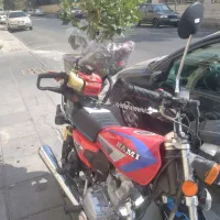 هرس درخت شمشاد خدمات باغبانی آذری|خدمات باغبانی و درختکاری|تهران, صادقیه|دیوار