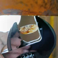 نگین شجر قائن|کلکسیون اشیاء عتیقه|قم, هنرستان|دیوار