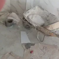 فرغون وچار چوب