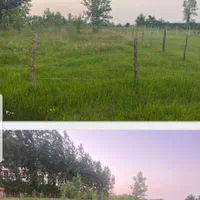 فروش زمین ۱۵۰۰ متری واقع درروستای نوخاله جعفری|فروش زمین و ملک کلنگی|تولم شهر, |دیوار